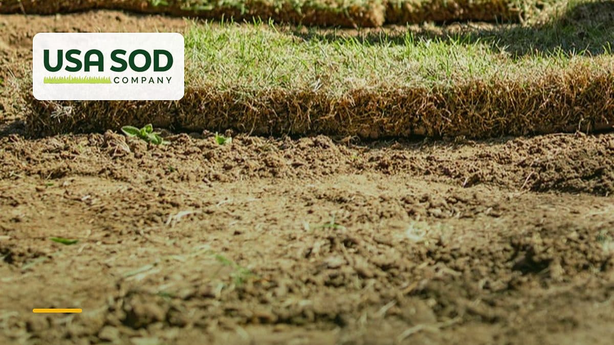 Do You Install Sod, or Just Deliver It?